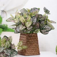 uploads/erp/collection/images/Home Garden/CongDing/XU0612218/img_b/XU0612218_img_b_1